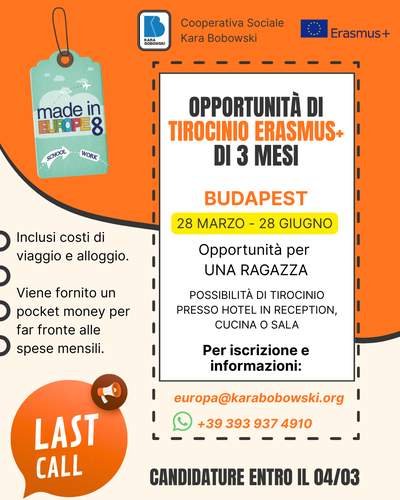 Opportunità di tirocinio Erasmus a Budapest