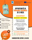 Opportunità di tirocinio Erasmus a Budapest