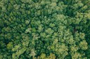Un’estate sostenibile in Emilia-Romagna