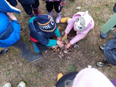 WhatsApp Image 2022-11-28 at 12.45.54.jpeg