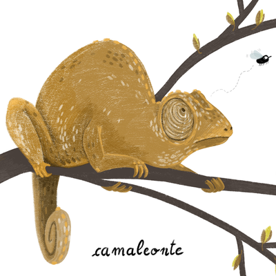 sabrina-gennari-illustrazione-camaleonte.png